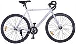 Xe đạp Fixed Gear Fornix BF200 Pro