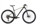 Xe đạp địa hình thể thao Giant XTC SLR 29 1 2021***