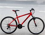 Xe đạp địa hình thể thao Giant OYEA 2.0***
