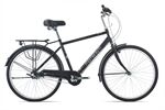 Xe đạp Giant INEED MASTER N3 2021***