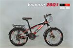Xe đạp địa hình trẻ em VIVENTE 20Q1