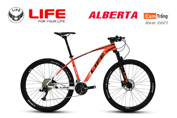 Xe đạp điện địa hình Life Alberta