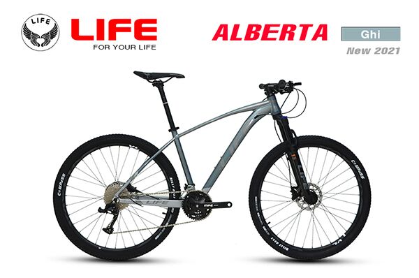 Xe đạp điện địa hình Life Alberta