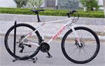Xe đạp touring MILESCO R300