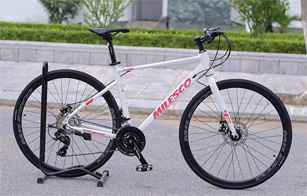Xe đạp touring MILESCO R300
