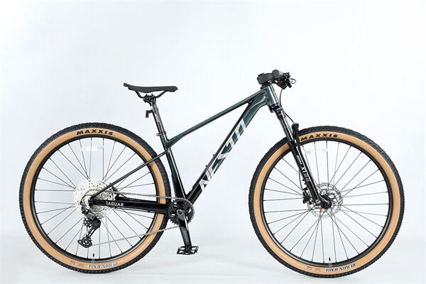 Xe đạp địa hình thể thao NESTO JAGUAR