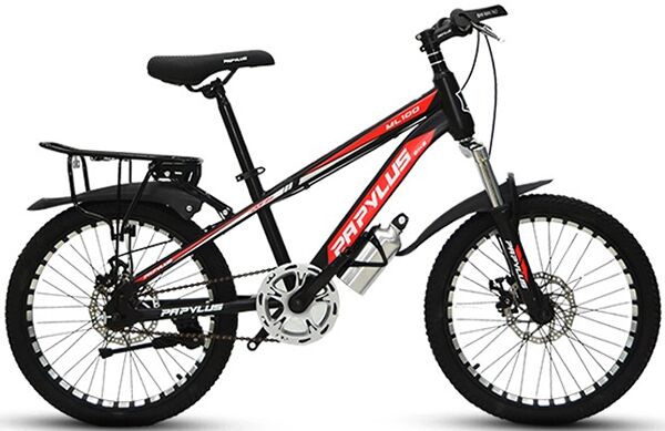 Xe đạp trẻ em Papylus ML100