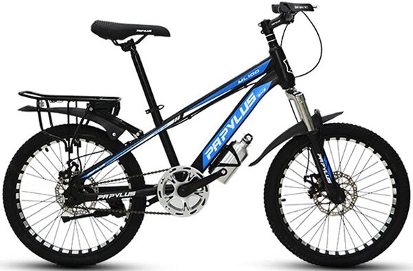 Xe đạp trẻ em Papylus ML100