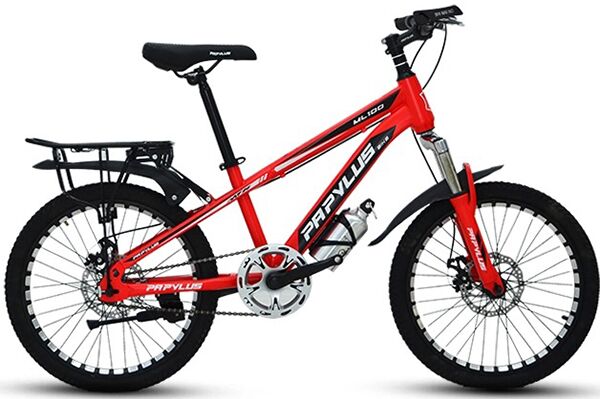 Xe đạp trẻ em Papylus ML100