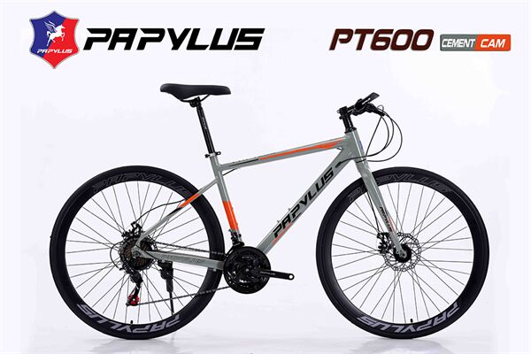 Xe đạp touring Papylus PT600
