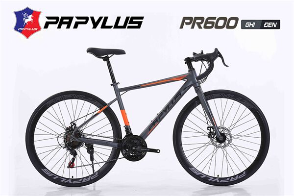 Xe đạp đua Papylus PR600
