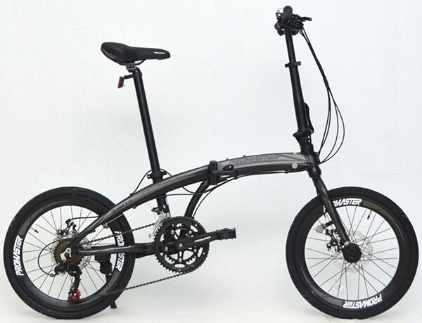 Xe đạp gấp Promaster F16
