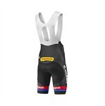 Quần xe đạp Giant AlpecinStandardBibShorts