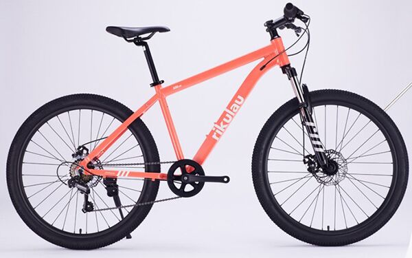 Xe đạp điện địa hình RIKULAU ASO LITE