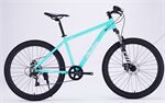 Xe đạp điện địa hình RIKULAU ASO LITE
