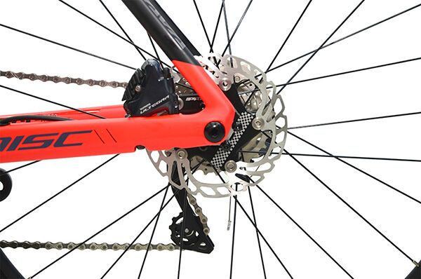 Xe đạp đua SAVA Carbon Colorado Disc 8020