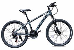 Xe đạp địa hình thể thao Trinx TX04 Disc 2021