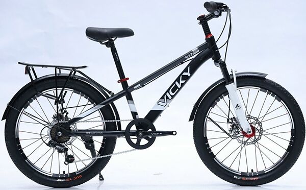 Xe đạp trẻ em Vicky F20