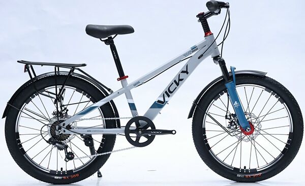 Xe đạp trẻ em Vicky F20