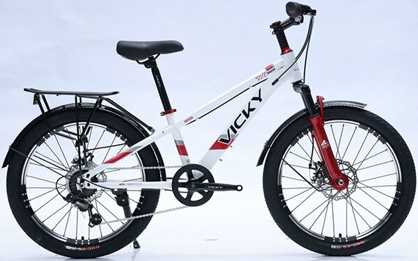 Xe đạp trẻ em Vicky F20