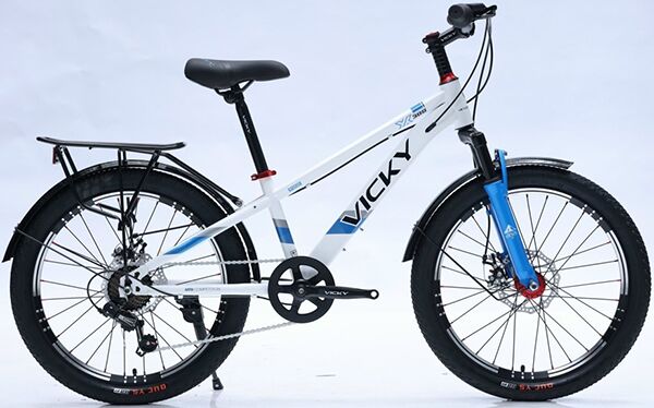 Xe đạp trẻ em Vicky F20