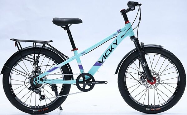 Xe đạp trẻ em Vicky F20