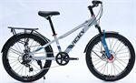 Xe đạp trẻ em Vicky F22