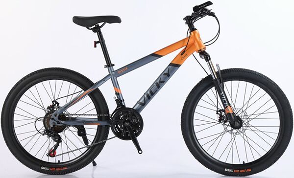 Xe đạp địa hình thể thao Vicky VF4