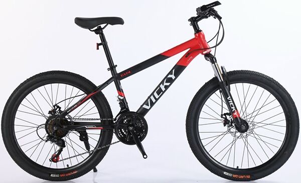 Xe đạp địa hình thể thao Vicky VF4