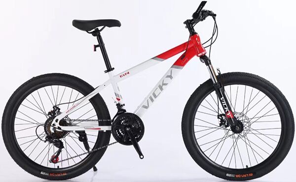 Xe đạp địa hình thể thao Vicky VF4
