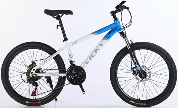 Xe đạp địa hình thể thao Vicky VF4