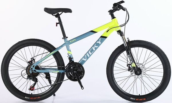 Xe đạp địa hình thể thao Vicky VF4