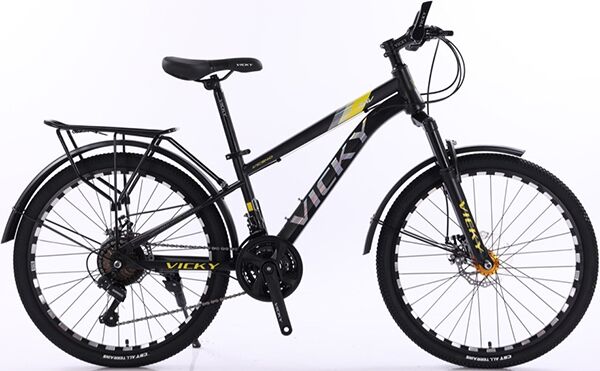 Xe đạp địa hình thể thao Vicky VIC540