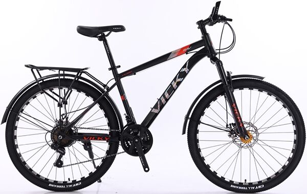 Xe đạp địa hình thể thao Vicky VIC560