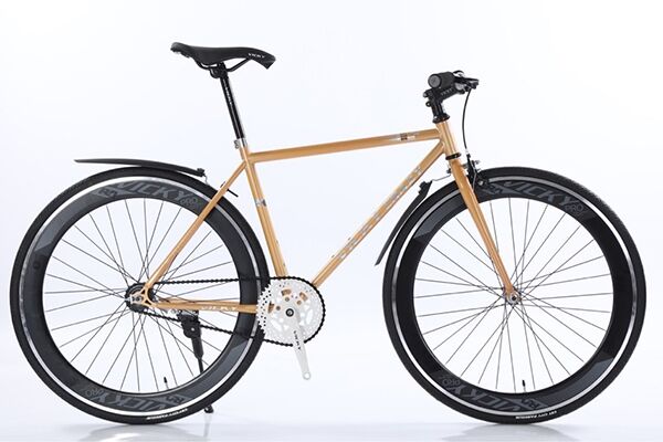 Xe đạp Fixed Gear Vicky CRAZY