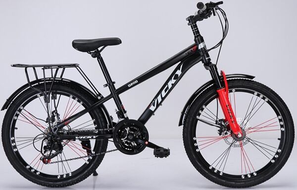 Xe đạp trẻ em Vicky Q20D