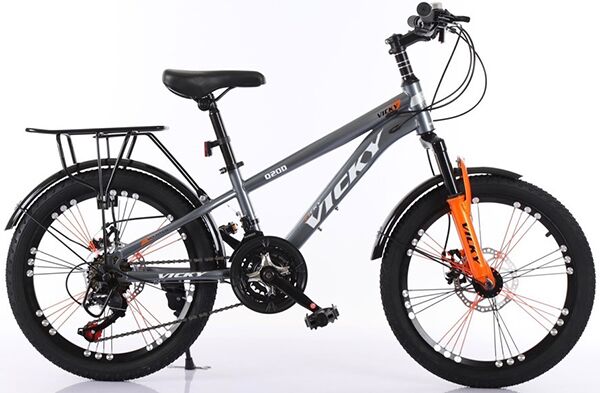 Xe đạp trẻ em Vicky Q20D
