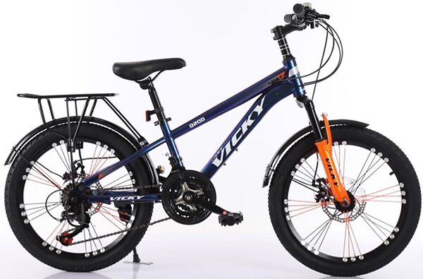 Xe đạp trẻ em Vicky Q20D
