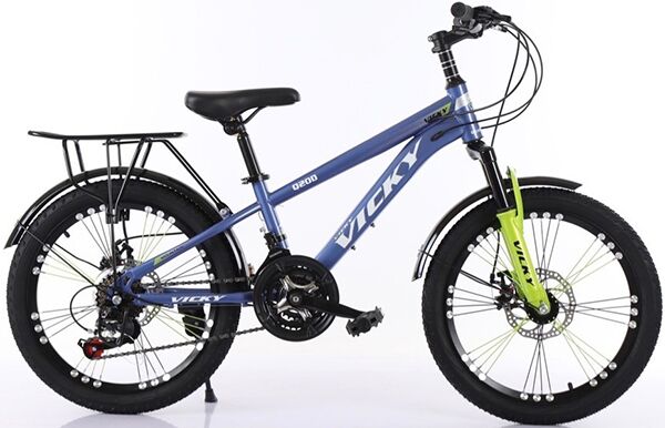 Xe đạp trẻ em Vicky Q20D