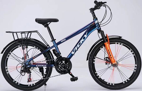 Xe đạp trẻ em Vicky Q22D