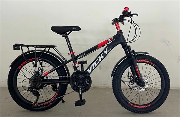 Xe đạp trẻ em Vicky VF20