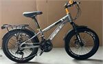 Xe đạp trẻ em Vicky VF20