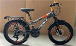 Xe đạp trẻ em Vicky VF20