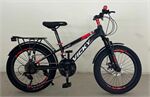 Xe đạp trẻ em Vicky VF22