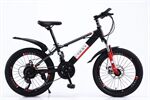 Xe đạp trẻ em Vicky VIC1 20D