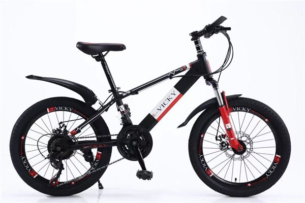 Xe đạp trẻ em Vicky VIC1 20D