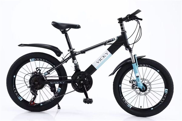 Xe đạp trẻ em Vicky VIC1 20D