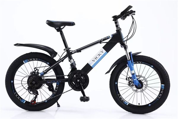 Xe đạp trẻ em Vicky VIC1 20D