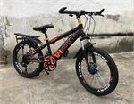 Xe đạp trẻ em Vicky VIC 20D