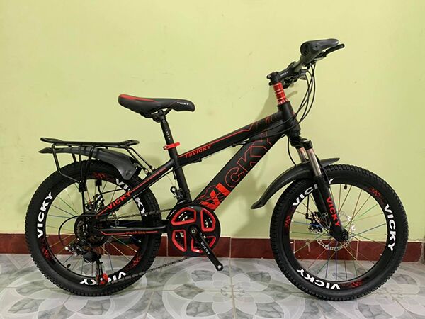 Xe đạp trẻ em Vicky VIC 20D